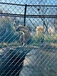 千葉市動物公園に投稿された画像（2026/1/26）