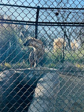 千葉市動物公園に投稿された画像（2026/1/26）