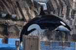 名古屋港水族館に投稿された画像（2026/1/26）