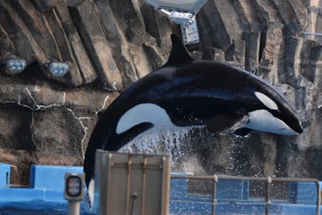 名古屋港水族館に投稿された画像（2026/1/26）