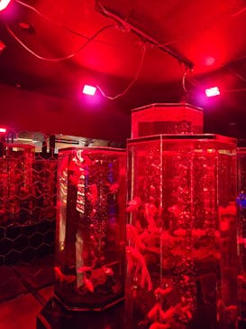 NARA KINGYO MUSEUMに投稿された画像（2026/1/26）