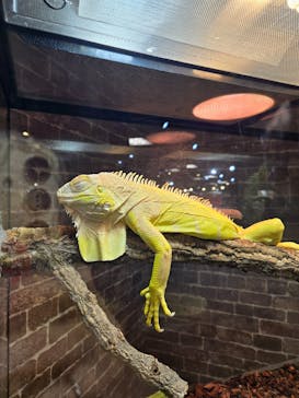 NARA KINGYO MUSEUMに投稿された画像（2026/1/26）