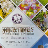 熱帯ドリームセンターに投稿された画像（2026/1/26）