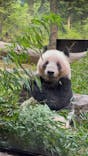 恩賜上野動物園に投稿された画像（2026/1/26）
