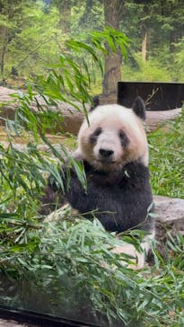 恩賜上野動物園に投稿された画像（2026/1/26）