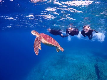 calm石垣島に投稿された画像（2026/1/26）