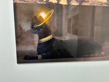 IMMERSIVE JOURNEY 名古屋に投稿された画像（2026/1/26）