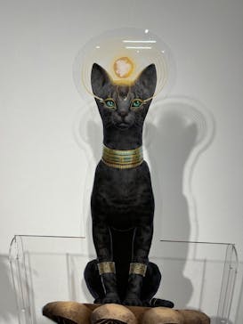 IMMERSIVE JOURNEY 名古屋に投稿された画像（2026/1/26）