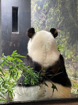 恩賜上野動物園に投稿された画像（2026/1/26）