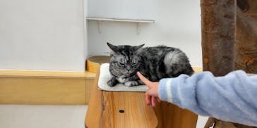 Moff アニマル カフェ イーアス 高尾店に投稿された画像（2026/1/26）