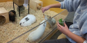 Moff アニマル カフェ イーアス 高尾店に投稿された画像（2026/1/26）