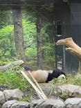 恩賜上野動物園に投稿された画像（2026/1/27）