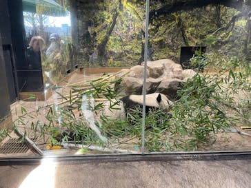 恩賜上野動物園に投稿された画像（2026/1/26）