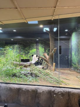 恩賜上野動物園に投稿された画像（2026/1/26）