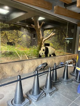 恩賜上野動物園に投稿された画像（2026/1/26）