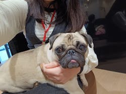 ぶさかわcafe 京都河原町店に投稿された画像（2026/1/26）