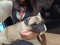 ぶさかわcafe 京都河原町店に投稿された画像（2026/1/26）