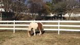 成田ゆめ牧場に投稿された画像（2026/1/27）