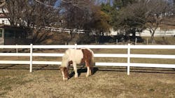 成田ゆめ牧場に投稿された画像（2026/1/26）