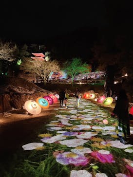 ぎふ灯り物語 ２０２６に投稿された画像（2026/1/26）