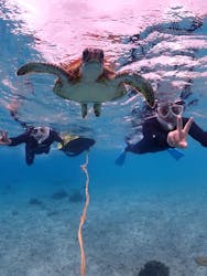 ちゃこたびに投稿された画像（2026/1/26）