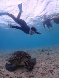 ちゃこたびに投稿された画像（2026/1/26）