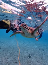 ちゃこたびに投稿された画像（2026/1/26）