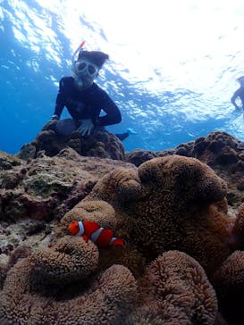 ちゃこたびに投稿された画像（2026/1/26）