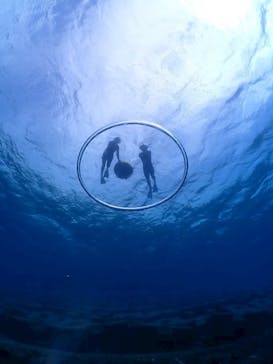 ちゃこたびに投稿された画像（2026/1/26）