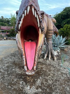 伊豆高原グランイルミに投稿された画像（2026/1/27）