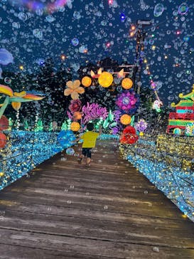 伊豆高原グランイルミに投稿された画像（2026/1/27）