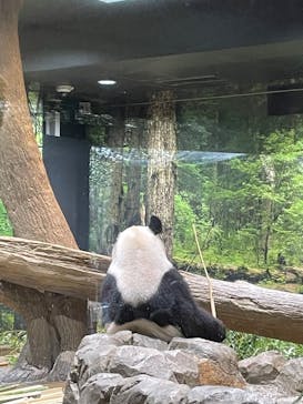 恩賜上野動物園に投稿された画像（2026/1/27）