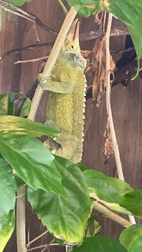 体感型動物園iZooに投稿された画像（2026/1/27）