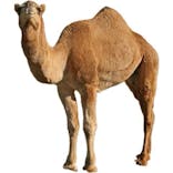 那須オルゴール美術館に投稿された画像（2026/1/27）