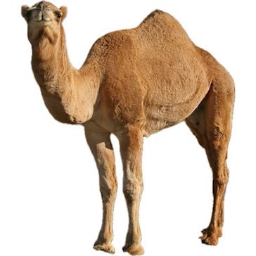 那須オルゴール美術館に投稿された画像（2026/1/27）