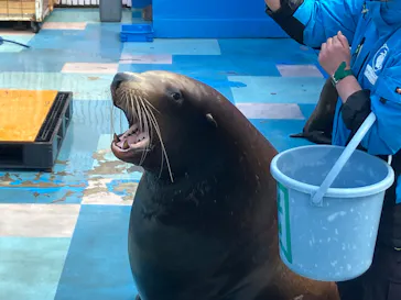 ゼロ距離水族館 伊勢シーパラダイスに投稿された画像（2026/1/27）