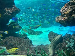 サンシャイン水族館に投稿された画像（2026/1/27）