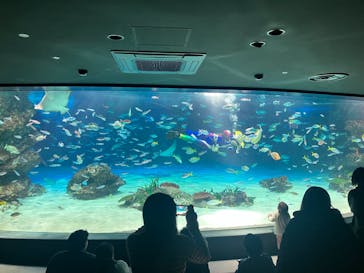 サンシャイン水族館に投稿された画像（2026/1/27）