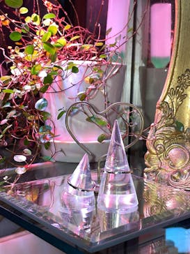 impera accessory（インペラアクセサリー）に投稿された画像（2026/1/27）