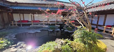 仙巌園に投稿された画像（2026/1/27）