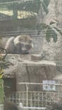 天王寺動物園に投稿された画像（2026/1/27）