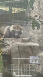 天王寺動物園に投稿された画像（2026/1/27）