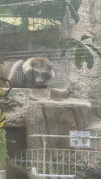 天王寺動物園に投稿された画像（2026/1/27）