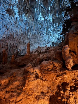 おきなわワールドに投稿された画像（2026/1/27）