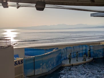 新江ノ島水族館に投稿された画像（2026/1/27）