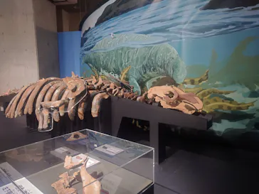 特別展「大絶滅展―生命史のビッグファイブ」に投稿された画像（2026/1/27）