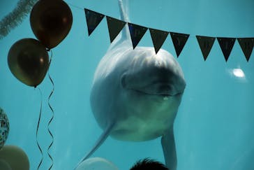 南知多ビーチランド＆南知多おもちゃ王国に投稿された画像（2026/1/27）