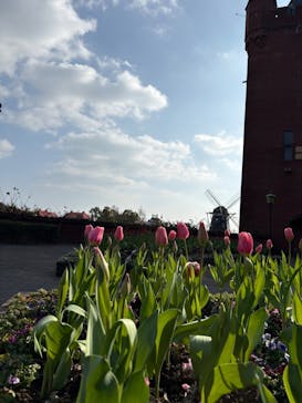 ハウステンボスに投稿された画像（2026/1/27）