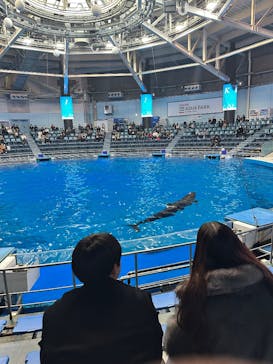 マクセル アクアパーク品川に投稿された画像（2026/1/27）