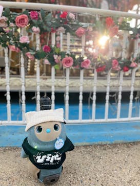 ひらかたパークに投稿された画像（2026/1/27）